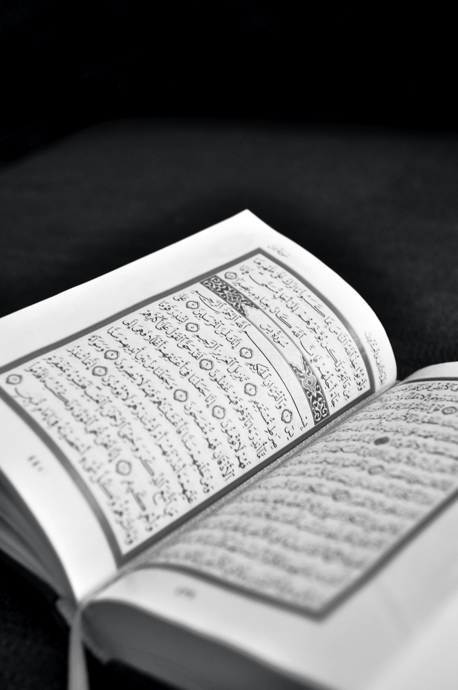 Tafseer-ul-Quran